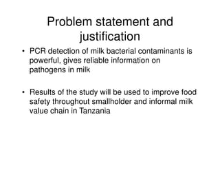 Microbial contaminations in milk and identification of selected pathogenic bacteria along dairy value chain in Tanga region, Tanzania