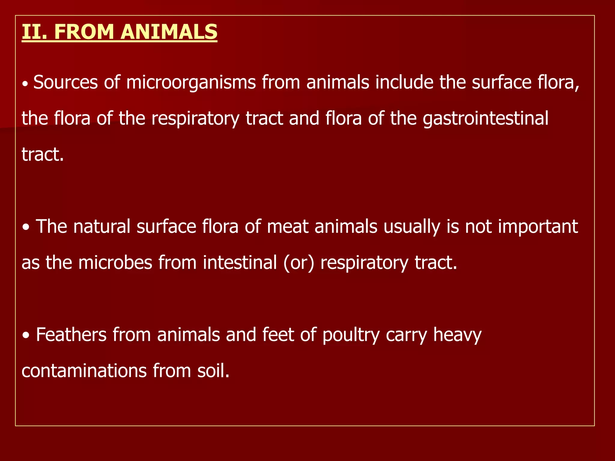 II. FROM ANIMALS
• Sources of microorganisms from animals include the surface flora,
the flora of the respiratory tract and flora of the gastrointestinal
tract.
• The natural surface flora of meat animals usually is not important
as the microbes from intestinal (or) respiratory tract.
• Feathers from animals and feet of poultry carry heavy
contaminations from soil.
 