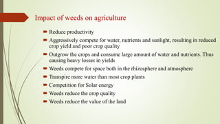 Impact of weeds on agriculture
 Reduce productivity
 Aggressively compete for water, nutrients and sunlight, resulting in reduced
crop yield and poor crop quality
 Outgrow the crops and consume large amount of water and nutrients. Thus
causing heavy losses in yields
 Weeds compete for space both in the rhizosphere and atmosphere
 Transpire more water than most crop plants
 Competition for Solar energy
 Weeds reduce the crop quality
 Weeds reduce the value of the land
 