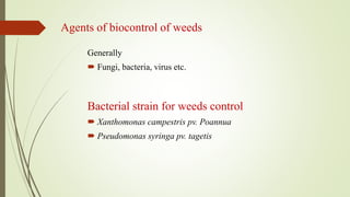 Agents of biocontrol of weeds
Generally
 Fungi, bacteria, virus etc.
Bacterial strain for weeds control
 Xanthomonas campestris pv. Poannua
 Pseudomonas syringa pv. tagetis
 