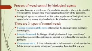 Process of weed control by biological agents
 A weed becomes a problem as it’s population density is above a threshold at
which it affects the economic or ecological sustainability of the ecosystem.
 Biological agents are released at this point population of biological control
agents build up to very high levels due to the abundance of host plant.
There are 3 types of control weeds
 Classical (inoculative) Biocontrol: It involves the relatively small number of
control agent.
 Inductive biocontrol: In this type of biological control, large quantities of
control agent, generally a pathogen is –applied to weeds and large quantities of
pathogen
 Conversion method : It is an indirect method indirect method which manipulate
habitat around the weeds with aim of encouraging those that life taw law
 