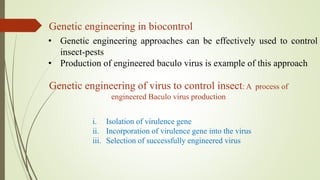 Genetic engineering in biocontrol
• Genetic engineering approaches can be effectively used to control
insect-pests
• Production of engineered baculo virus is example of this approach
Genetic engineering of virus to control insect: A process of
engineered Baculo virus production
i. Isolation of virulence gene
ii. Incorporation of virulence gene into the virus
iii. Selection of successfully engineered virus
 