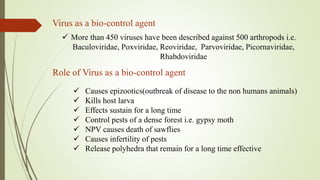 Virus as a bio-control agent
 More than 450 viruses have been described against 500 arthropods i.e.
Baculoviridae, Poxviridae, Reoviridae, Parvoviridae, Picornaviridae,
Rhabdoviridae
Role of Virus as a bio-control agent
 Causes epizootics(outbreak of disease to the non humans animals)
 Kills host larva
 Effects sustain for a long time
 Control pests of a dense forest i.e. gypsy moth
 NPV causes death of sawflies
 Causes infertility of pests
 Release polyhedra that remain for a long time effective
 