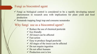 Fungi as biocontrol agent
 Fungi as biological control is considered to be a rapidly developing natural
phenomenon in research area with implications for plant yield and food
production
 Nematode trapping fungi trap and consume nematodes
Why fungi use as a biocontrol agent?
 Reduce the use of chemical pesticide
 Eco friendly
 All insect can be affected
 Fast action
 Easy to produce fungal pesticide
 All stages of the insect can be affected
 Do not require ingestion
 Do not affect humans
 Production cost is low
 