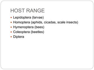 Host Insects Examples Microbial control of_crop_pest_by_employing_viruses | PPTX