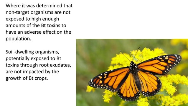 Microbial control of insect pests | PPTX | Gardening | Home & Garden