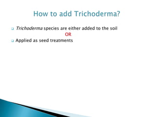  Trichoderma species are either added to the soil
OR
 Applied as seed treatments
 