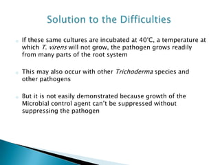 o If these same cultures are incubated at 40°C, a temperature at
which T. virens will not grow, the pathogen grows readily
from many parts of the root system
o This may also occur with other Trichoderma species and
other pathogens
o But it is not easily demonstrated because growth of the
Microbial control agent can’t be suppressed without
suppressing the pathogen
 