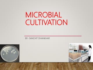 MICROBIAL
CULTIVATION
BY- SANCHIT DHANKHAR
 