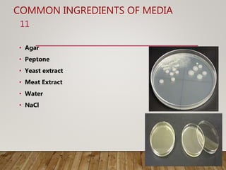 COMMON INGREDIENTS OF MEDIA
• Agar
• Peptone
• Yeast extract
• Meat Extract
• Water
• NaCl
11
 