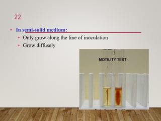  In semi-solid medium:
• Only grow along the line of inoculation
• Grow diffusely
22
 