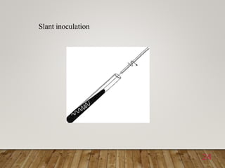 24
Slant inoculation
 