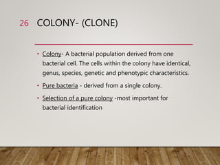 COLONY- (CLONE)
• Colony- A bacterial population derived from one
bacterial cell. The cells within the colony have identical,
genus, species, genetic and phenotypic characteristics.
• Pure bacteria - derived from a single colony.
• Selection of a pure colony -most important for
bacterial identification
26
 