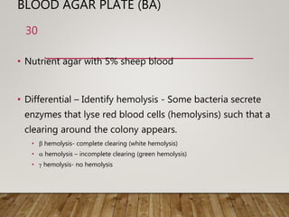 BLOOD AGAR PLATE (BA)
• Nutrient agar with 5% sheep blood
• Differential – Identify hemolysis - Some bacteria secrete
enzymes that lyse red blood cells (hemolysins) such that a
clearing around the colony appears.
• b hemolysis- complete clearing (white hemolysis)
• a hemolysis – incomplete clearing (green hemolysis)
• g hemolysis- no hemolysis
30
 