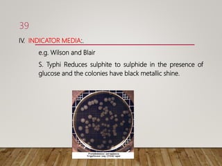 IV. INDICATOR MEDIA:.
e.g. Wilson and Blair
S. Typhi Reduces sulphite to sulphide in the presence of
glucose and the colonies have black metallic shine.
39
 