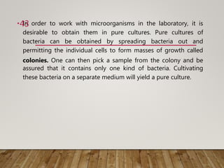 • In order to work with microorganisms in the laboratory, it is
desirable to obtain them in pure cultures. Pure cultures of
bacteria can be obtained by spreading bacteria out and
permitting the individual cells to form masses of growth called
colonies. One can then pick a sample from the colony and be
assured that it contains only one kind of bacteria. Cultivating
these bacteria on a separate medium will yield a pure culture.
43
 