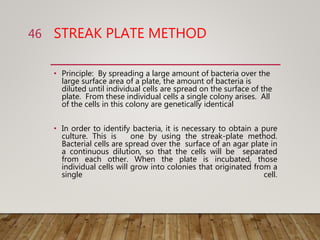 STREAK PLATE METHOD
• Principle: By spreading a large amount of bacteria over the
large surface area of a plate, the amount of bacteria is
diluted until individual cells are spread on the surface of the
plate. From these individual cells a single colony arises. All
of the cells in this colony are genetically identical
• In order to identify bacteria, it is necessary to obtain a pure
culture. This is one by using the streak-plate method.
Bacterial cells are spread over the surface of an agar plate in
a continuous dilution, so that the cells will be separated
from each other. When the plate is incubated, those
individual cells will grow into colonies that originated from a
single cell.
46
 