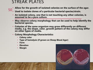 STREAK PLATES
• Allow for the growth of isolated colonies on the surface of the agar.
• Used to isolate clones of a particular bacterial species/strain.
• An isolated colony, one that is not touching any other colonies, is
assumed to be a pure culture.
• May observe colony morphology that can be used to help identify the
bacterial species.
• Colonies of the same organism may grow differently on different
media, e.g. the shape, color, growth pattern of the colony may differ
on other types of media.
• Colony Morphology Characteristics
• Colony color
• Type of hemolysis (if grown on Sheep Blood Agar)
• Form
• Elevation
• Margin
50
 