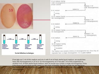 If we take out 1 ml of this medium and mix it with 9 ml of fresh sterile liquid medium, we would then
have 100 microorganisms in 10 ml or 10 microorganisms/ ml. If we add 1 ml of this suspension to
another 9 ml. of fresh sterile liquid medium, each ml would now contain a single microorganism. If this
tube shows any microbial growth, there is a very high probability that this growth has resulted from
the introduction of a single microorganism in the medium and represents the pure culture of that
microorganism.
59
 