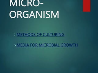 MICRO-
ORGANISM
METHODS OF CULTURING
MEDIA FOR MICROBIAL GROWTH
 
