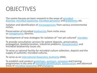 OBJECTIVES
The centre focuses on basic research in the areas of microbial
diversity, microbial taxonomy, microbial genomics and proteomics etc.
Isolation and identification of microorganisms from various environmental
niches.
Preservation of microbial biodiversity from niche areas
as metagenomic libraries.
Development of new strategies for isolation of "not yet cultured" microbes.
To provide consultation services for patent deposits, preservation,
propagation, biodeterioration, industrial problems, biosystematics and
microbial biodiversity issues etc.
To serve as national facility for microbial culture collection, deposit and the
supply of authentic microbial cultures.
To serve as an International Depositary Authority (IDA).
To establish and conduct workshops, seminars, symposia and training
programmes in the area of microbial identification, preservation and advanced
areas of microbial taxonomy and phylogeny.
 