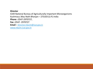 Director
ICAR-National Bureau of Agriculturally Important Microorganisms
Kushmaur, Mau Nath Bhanjan – 275103 (U.P.) India
Phone : 0547-2970727,
Fax : 0547- 2970727
Email – director.nbaim@icar.gov.in
www.nbaim.icar.gov.in
 