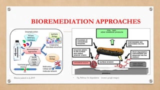 BIOREMEDIATION APPROACHES
Shweta jsaiwal et al.,2019 • Fig. Pathway for degradation (source: google images)
 