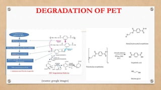 DEGRADATION OF PET
(source: google images)
 