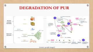 DEGRADATION OF PUR
(source: google images)
 