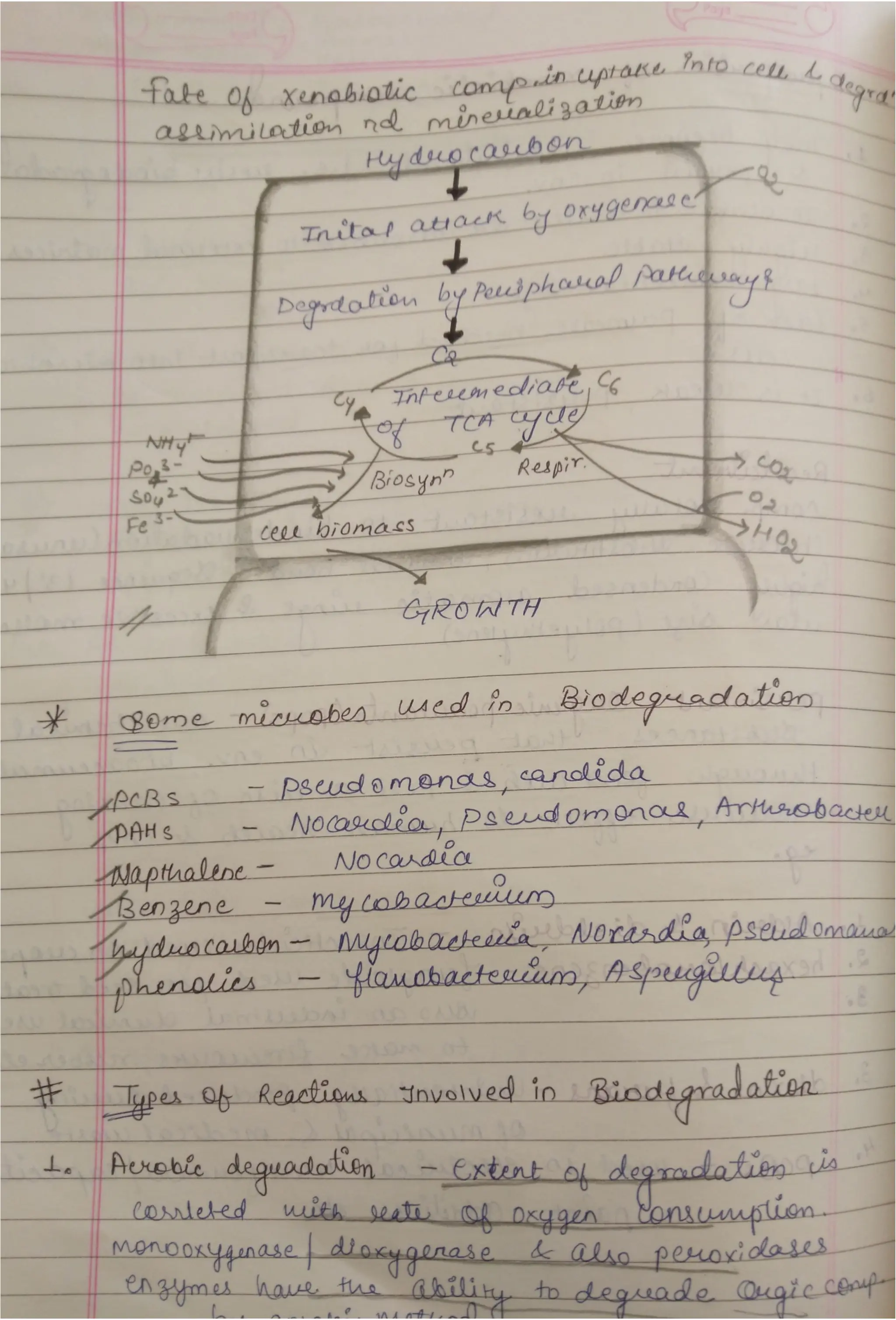 Microbial degradation of aromatic polycyclic nd halogenatd aromatic comp..pdf