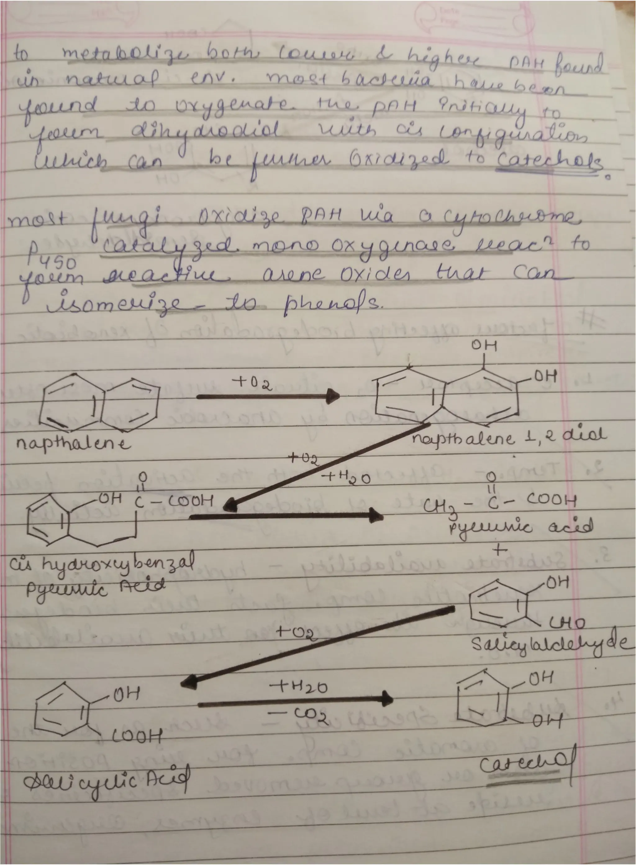 Microbial degradation of aromatic polycyclic nd halogenatd aromatic comp..pdf