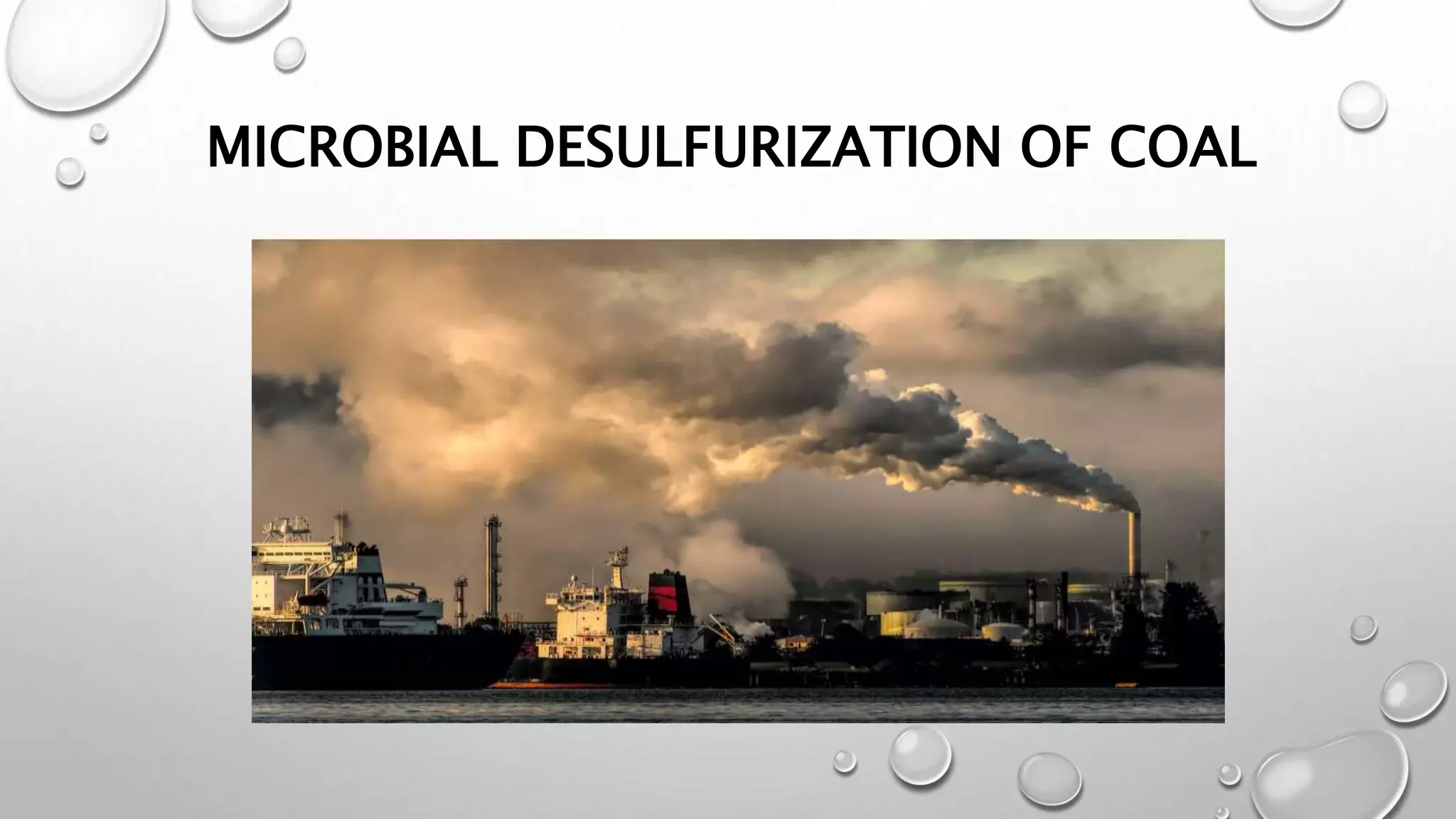 Microbial Desulfurization of Coal ppt .pptx