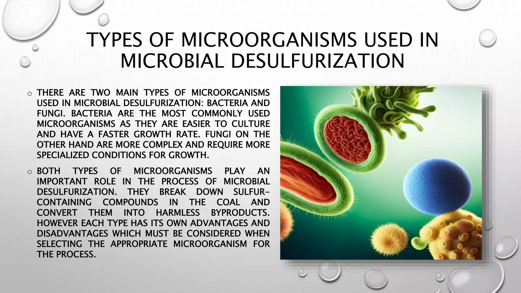 Microbial Desulfurization of Coal ppt .pptx