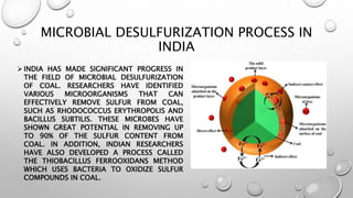 Microbial Desulfurization of Coal ppt .pptx