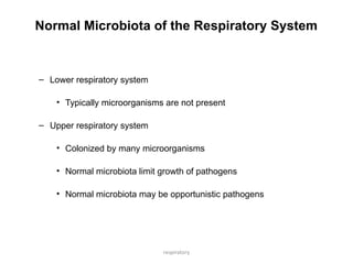 respiratory
Normal Microbiota of the Respiratory System
– Lower respiratory system
• Typically microorganisms are not present
– Upper respiratory system
• Colonized by many microorganisms
• Normal microbiota limit growth of pathogens
• Normal microbiota may be opportunistic pathogens
 
