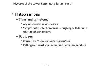 respiratory
Mycoses of the Lower Respiratory System cont’
• Histoplasmosis
– Signs and symptoms
• Asymptomatic in most cases
• Symptomatic infection causes coughing with bloody
sputum or skin lesions
– Pathogen
• Caused by Histoplasmosis capsulatum
• Pathogenic yeast form at human body temperature
 