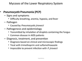 respiratory
Mycoses of the Lower Respiratory System
• Pneumocystis Pneumonia (PCP)
– Signs and symptoms
• Difficulty breathing, anemia, hypoxia, and fever
– Pathogen
• Caused by Pneumocystis jirovecii
– Pathogenesis and epidemiology
• Transmitted by inhalation of droplets containing the fungus
• Common disease in AIDS patients
– Diagnosis, treatment, and prevention
• Diagnosis based on clinical and microscopic findings
• Treat with trimethoprim and sulfamethoxazole
• Impossible to prevent infection with P. jirovecii
 