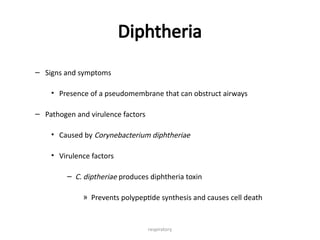 respiratory
Diphtheria
– Signs and symptoms
• Presence of a pseudomembrane that can obstruct airways
– Pathogen and virulence factors
• Caused by Corynebacterium diphtheriae
• Virulence factors
– C. diptheriae produces diphtheria toxin
» Prevents polypeptide synthesis and causes cell death
 
