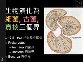 根據 DNA 相似程度區分
 Prokaryotes
 Archaea 古菌界
 Bacteria 細菌界
 Eucarya 真核界
3
 