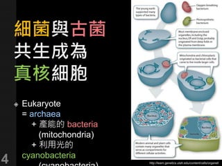 Eukaryote = archaea
+ 產能的 bacteria
(mitochondria)
+ 利用光的 cyanobacteria
(cyanobacteria)
4 http://learn.genetics.utah.edu/content/cells/organell
 