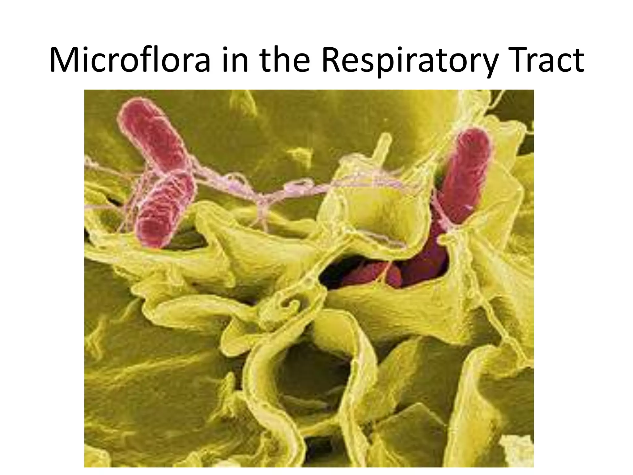 Microbiology: Microbial Ecology | PPTX