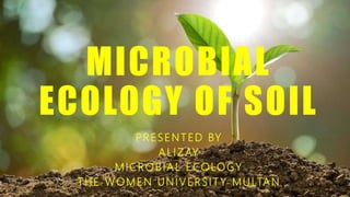 MICROBIAL
ECOLOGY OF SOIL
PRESENTED BY
ALIZAY
MICROBIAL ECOLOGY
THE WOMEN UNIVERSIT Y MULTAN
 