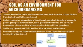 Microbial Ecology of Soil | PPTX