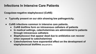Microbial endocrinology | PPTX