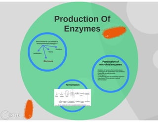 Microbial enzymes