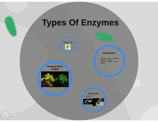 Microbial enzymes