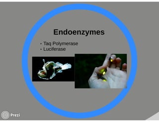 Microbial enzymes