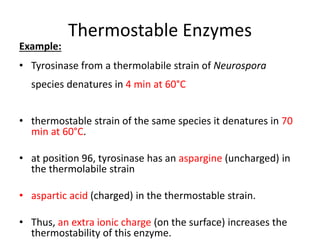 Thermostable Enzymes
Example:
• Tyrosinase from a thermolabile strain of Neurospora
species denatures in 4 min at 60°C
• thermostable strain of the same species it denatures in 70
min at 60°C.
• at position 96, tyrosinase has an aspargine (uncharged) in
the thermolabile strain
• aspartic acid (charged) in the thermostable strain.
• Thus, an extra ionic charge (on the surface) increases the
thermostability of this enzyme.
 