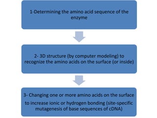 1-Determining the amino acid sequence of the
enzyme
2- 3D structure (by computer modeling) to
recognize the amino acids on the surface (or inside)
3- Changing one or more amino acids on the surface
to increase ionic or hydrogen bonding (site-specific
mutagenesis of base sequences of cDNA)
 