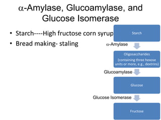 a-Amylase, Glucoamylase, and
Glucose Isomerase
• Starch----High fructose corn syrup
• Bread making- staling a-Amylase
Glucoamylase
Glucose Isomerase
Starch
Oligosaccharides
(containing three hexose
units or more, e.g., dextrins)
Glucose
Fructose
 